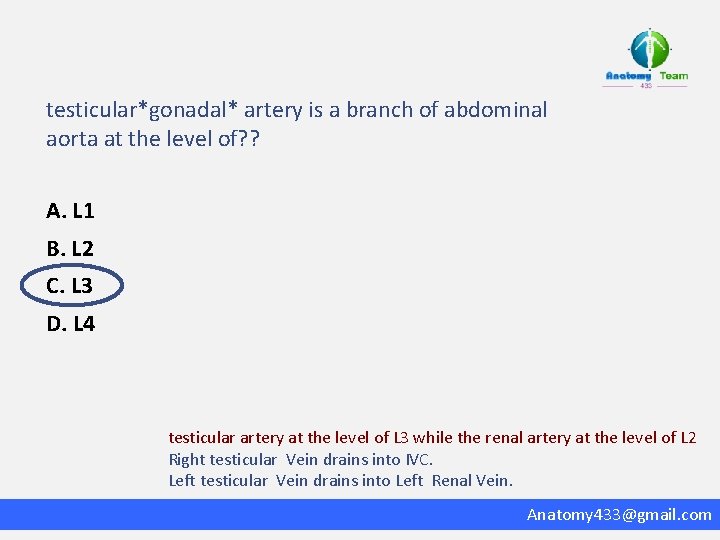 testicular*gonadal* artery is a branch of abdominal aorta at the level of? ? A.