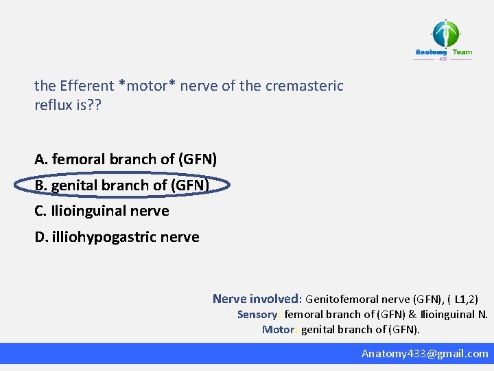 the Efferent *motor* nerve of the cremasteric reflux is? ? A. femoral branch of