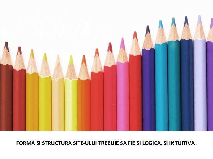 FORMA SI STRUCTURA SITE-ULUI TREBUIE SA FIE SI LOGICA, SI INTUITIVA! 