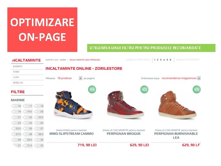 OPTIMIZARE ON-PAGE UTILIZAREA UNUI FILTRU PENTRU PRODUSELE RECOMANDATE 