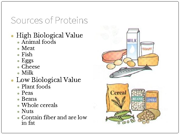 Sources of Proteins ● High Biological Value ● Animal foods ● Meat ● Fish