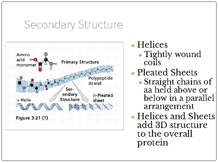 Secondary Structure ● Helices ● Tightly wound coils ● Pleated Sheets ● Straight chains