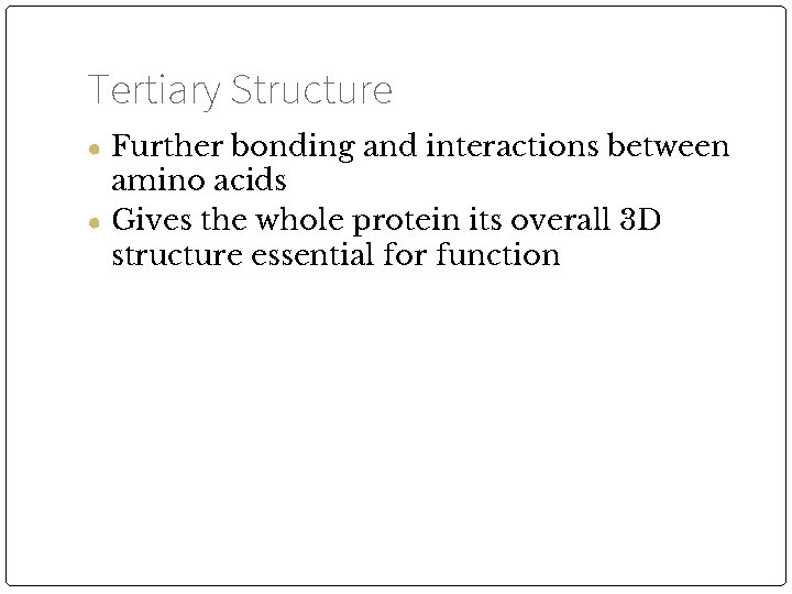 Tertiary Structure ● Further bonding and interactions between amino acids ● Gives the whole