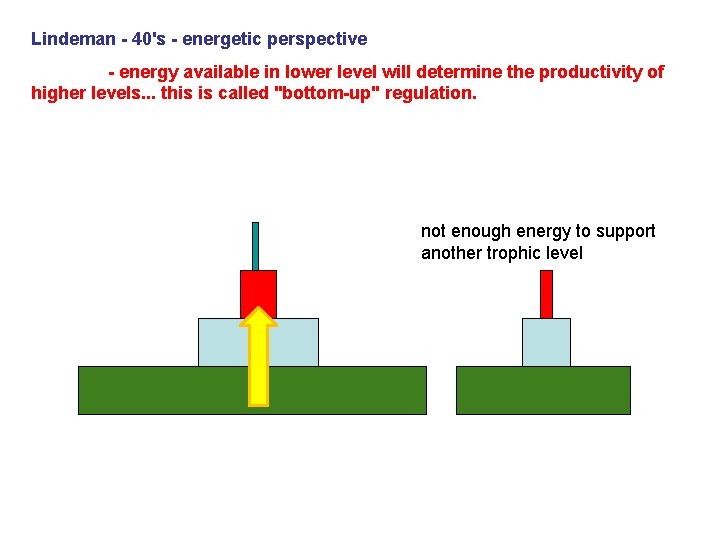 Lindeman - 40's - energetic perspective - energy available in lower level will determine