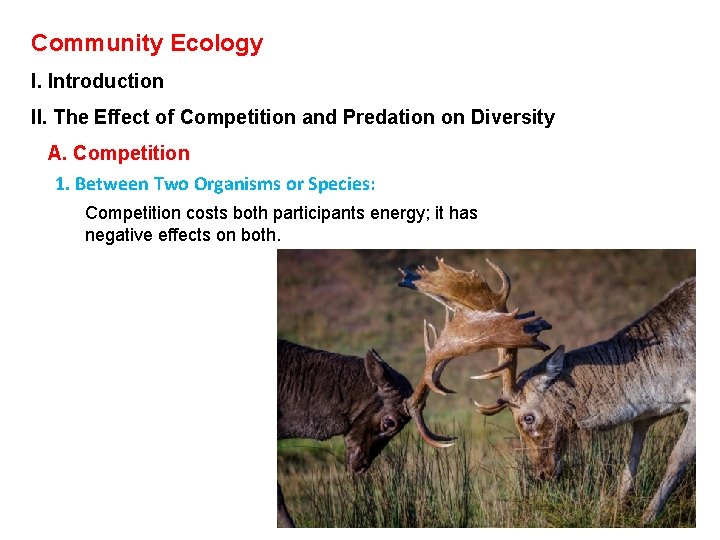 Community Ecology I. Introduction II. The Effect of Competition and Predation on Diversity A.