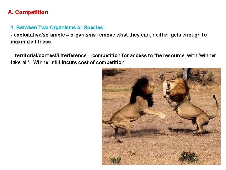 A. Competition 1. Between Two Organisms or Species: - exploitative/scramble – organisms remove what A. Competition 1. Between Two Organisms or Species: - exploitative/scramble – organisms remove what