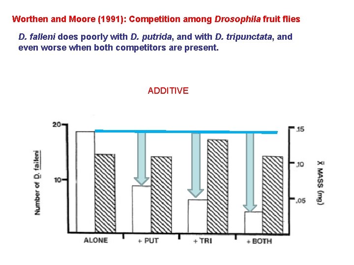 Worthen and Moore (1991): Competition among Drosophila fruit flies D. falleni does poorly with