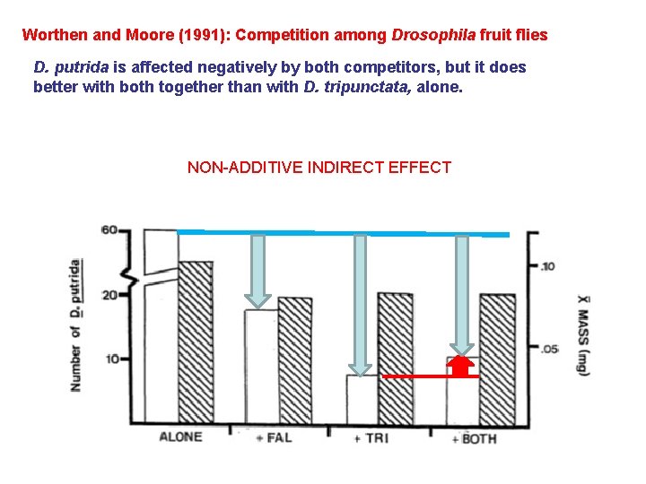 Worthen and Moore (1991): Competition among Drosophila fruit flies D. putrida is affected negatively Worthen and Moore (1991): Competition among Drosophila fruit flies D. putrida is affected negatively
