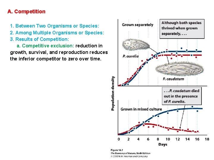 A. Competition 1. Between Two Organisms or Species: 2. Among Multiple Organisms or Species: