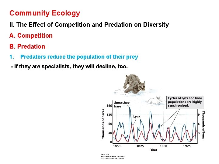 Community Ecology II. The Effect of Competition and Predation on Diversity A. Competition B.