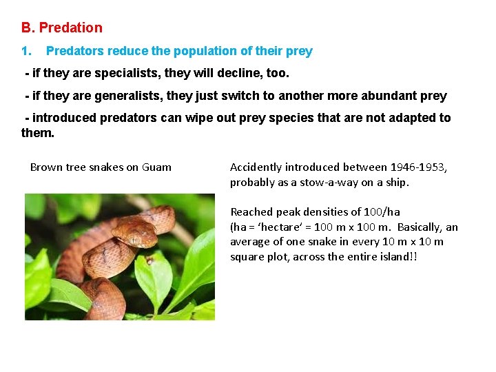 B. Predation 1. Predators reduce the population of their prey - if they are B. Predation 1. Predators reduce the population of their prey - if they are