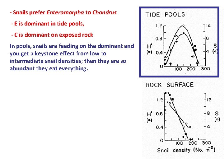 - Snails prefer Enteromorpha to Chondrus - E is dominant in tide pools, - - Snails prefer Enteromorpha to Chondrus - E is dominant in tide pools, -
