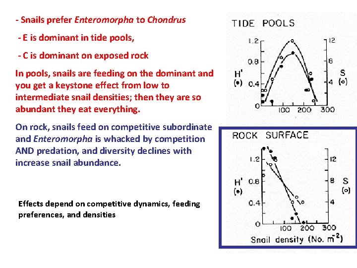 - Snails prefer Enteromorpha to Chondrus - E is dominant in tide pools, -