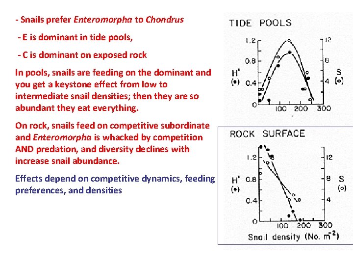 - Snails prefer Enteromorpha to Chondrus - E is dominant in tide pools, -
