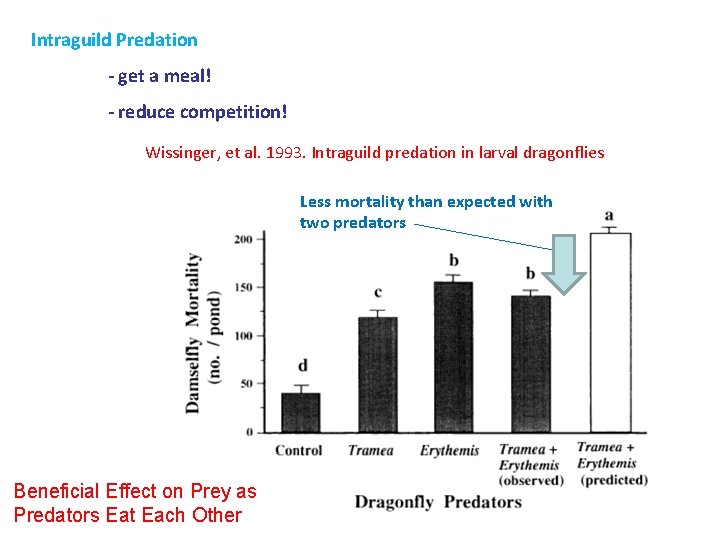 Intraguild Predation - get a meal! - reduce competition! Wissinger, et al. 1993. Intraguild