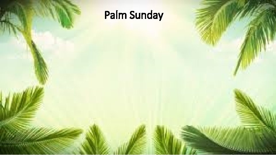 Palm Sunday 
