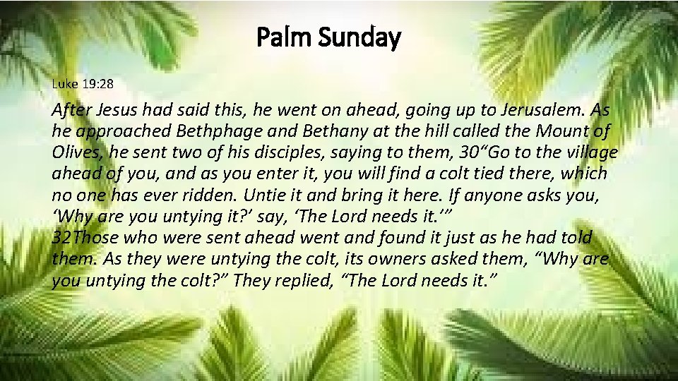 Palm Sunday Luke 19: 28 After Jesus had said this, he went on ahead,