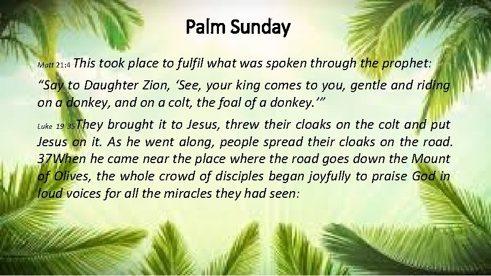 Palm Sunday Matt 21: 4 This took place to fulfil what was spoken through