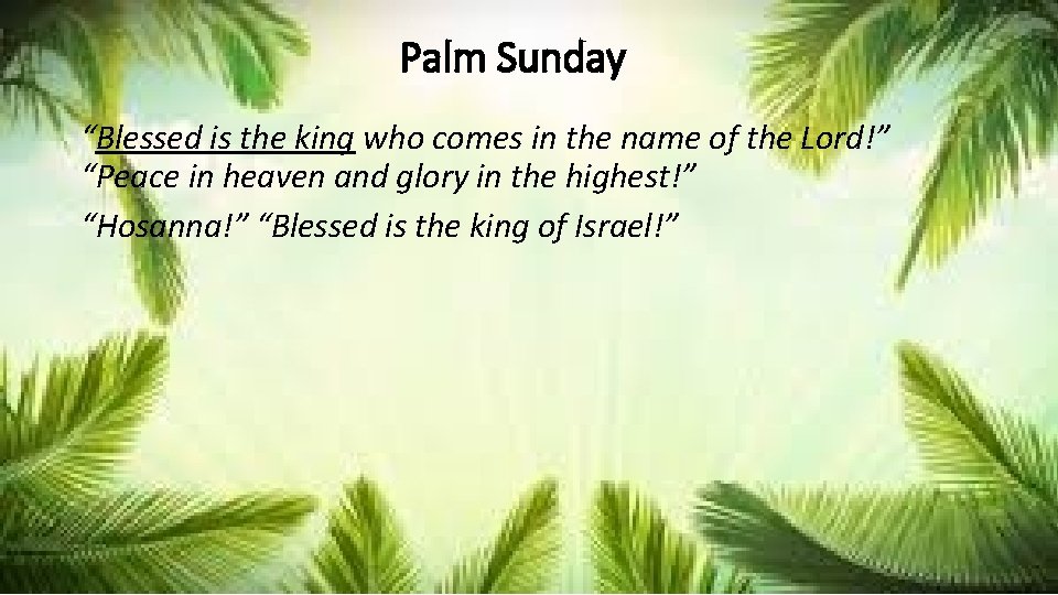 Palm Sunday “Blessed is the king who comes in the name of the Lord!”