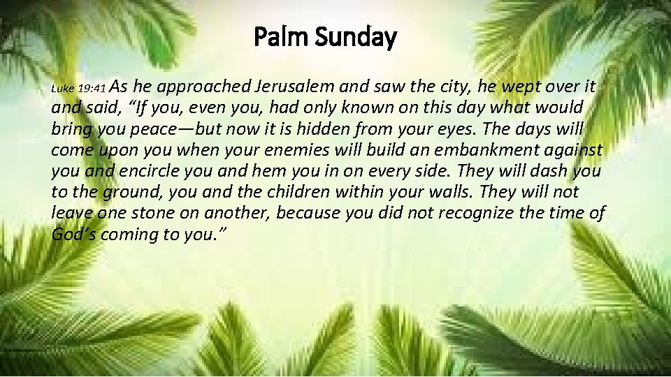 Palm Sunday Luke 19: 41 As he approached Jerusalem and saw the city, he