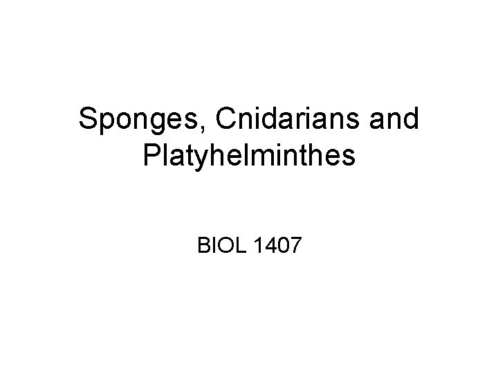 Sponges, Cnidarians and Platyhelminthes BIOL 1407 