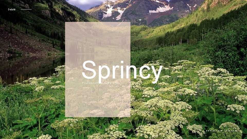 Details Sprincy Presentation template sanisinaia talana si 