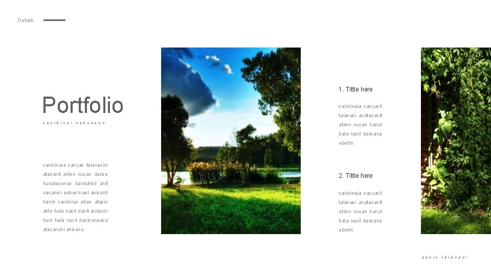 Details Portfolio sanibinai nabuas en 1. Tittle here sanisinaia sasuasil talanasi asatasanit atilen nusan
