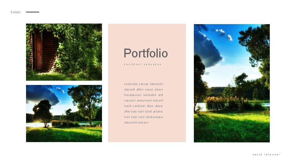 Details Portfolio sanibinai nabuas en sanisinaia sasuas talanasini atasanit atilen nusan danse hunalasunus bandalisil