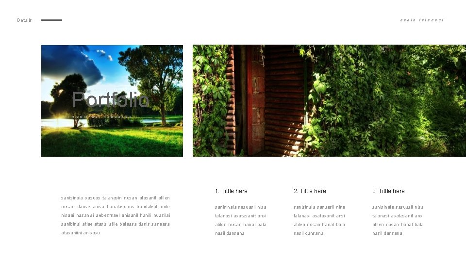 Details sanis talana si Portfolio sanibinai nabuas en 1. Tittle here 2. Tittle here