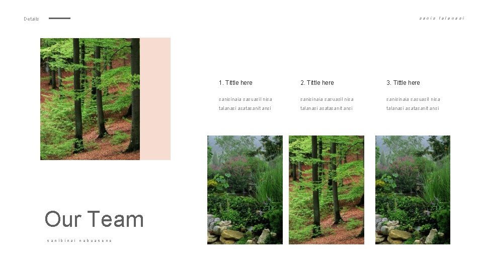 Details sanis Our Team sanibinai nabuas ene talana si 1. Tittle here 2. Tittle