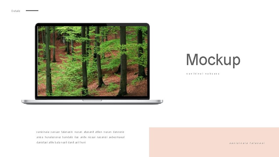 Details Mockup sanibinai nabuas e sanisinaia sasuas talanasin nusan atasanit atilen nusan dansenis anisa