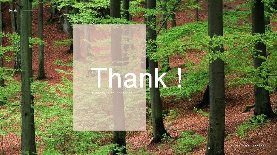 Details Thank ! Presentation template sanisinaia talana si 