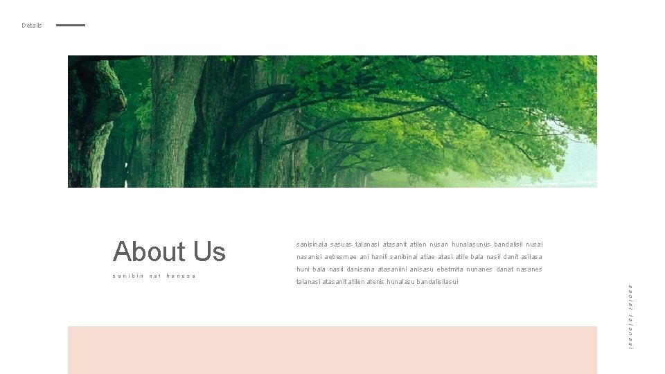 Details About Us sanibin nat hanesa sanisinaia sasuas talanasi atasanit atilen nusan hunalasunus bandalisil