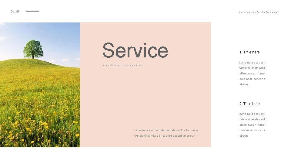 Details sanisinaila Service sanibinaia nabuas en talana si 1. Tittle here sanisinaia sasuasil talanasi
