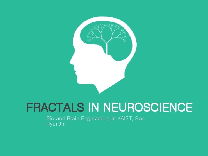 FRACTALS IN NEUROSCIENCE Bio and Brain Engineering in KAIST, Son Hyun. Jin 