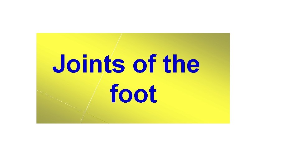 Joints of the foot 