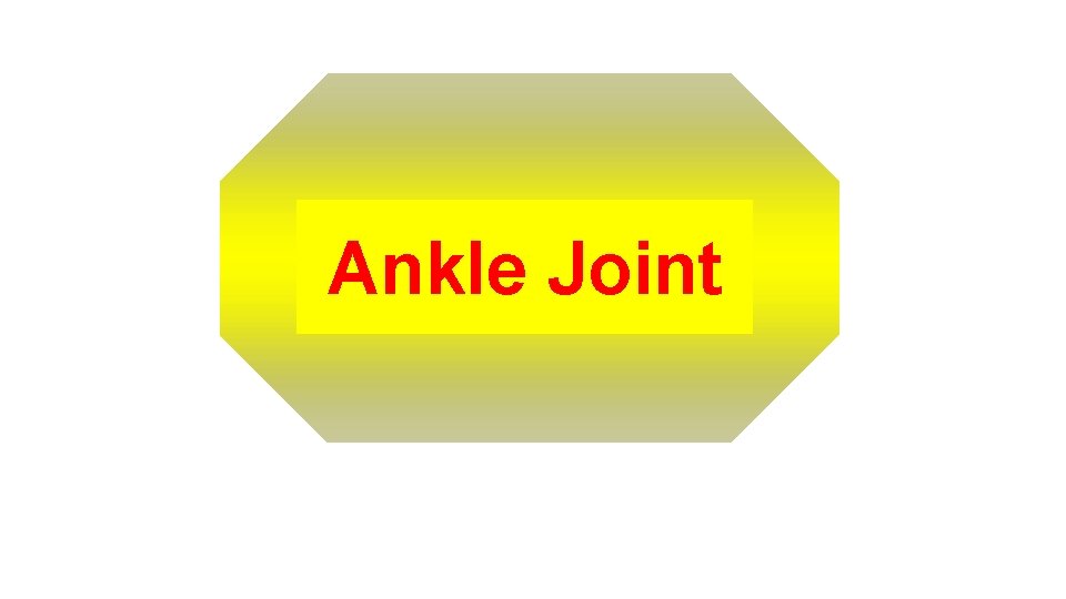 Ankle Joint 