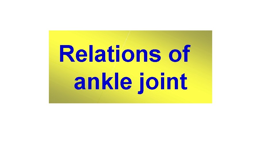 Relations of ankle joint 