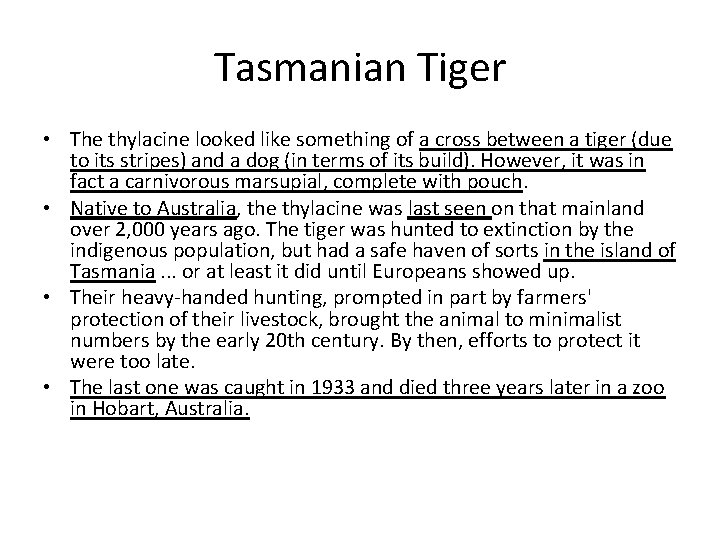 Tasmanian Tiger • The thylacine looked like something of a cross between a tiger