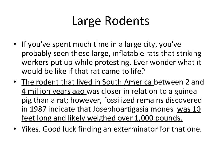 Large Rodents • If you've spent much time in a large city, you've probably