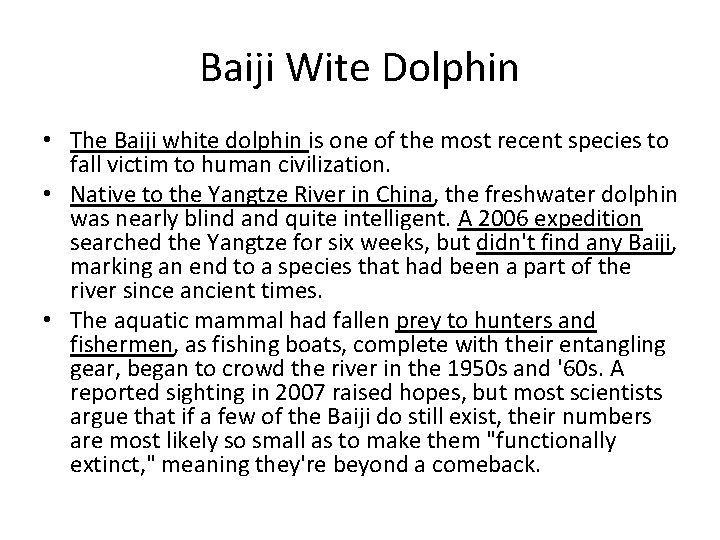 Baiji Wite Dolphin • The Baiji white dolphin is one of the most recent