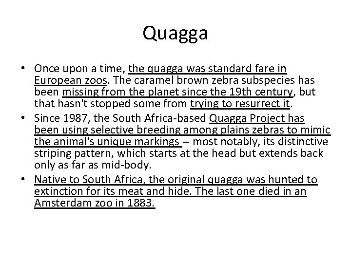 Quagga • Once upon a time, the quagga was standard fare in European zoos.