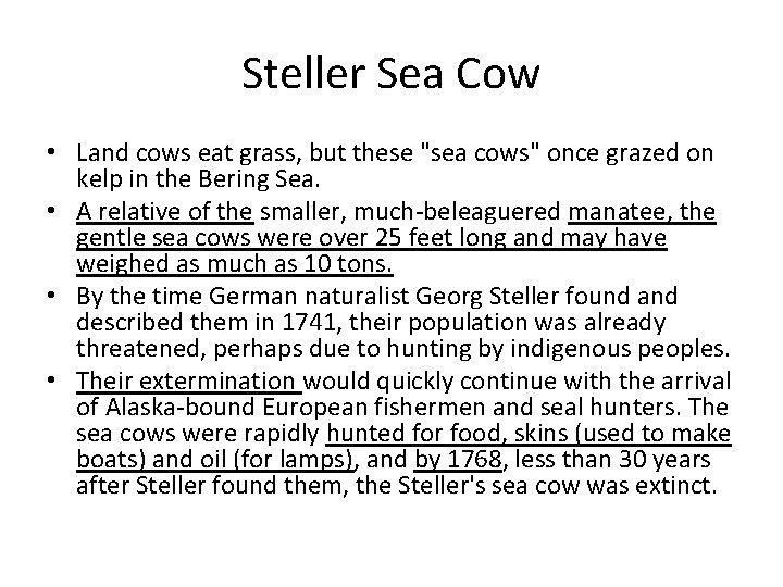 Steller Sea Cow • Land cows eat grass, but these "sea cows" once grazed