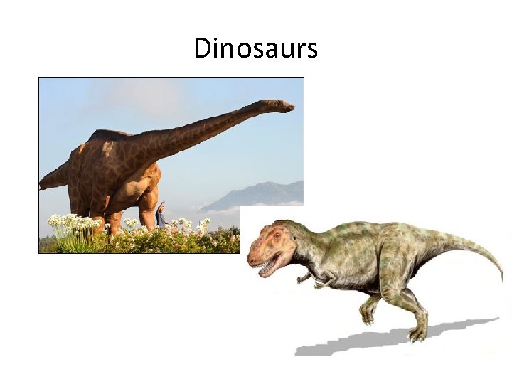 Dinosaurs 