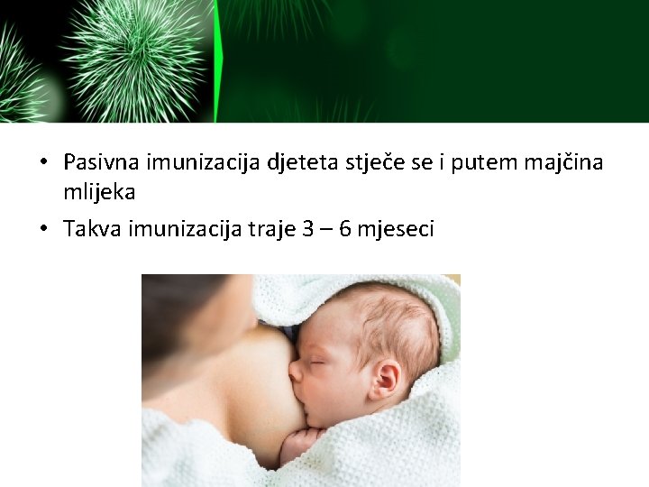  • Pasivna imunizacija djeteta stječe se i putem majčina mlijeka • Takva imunizacija