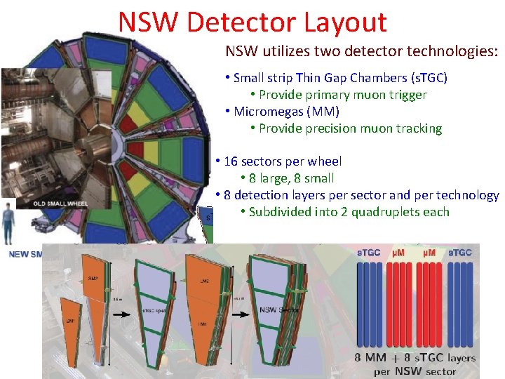 NSW Detector Layout NSW utilizes two detector technologies: • Small strip Thin Gap Chambers