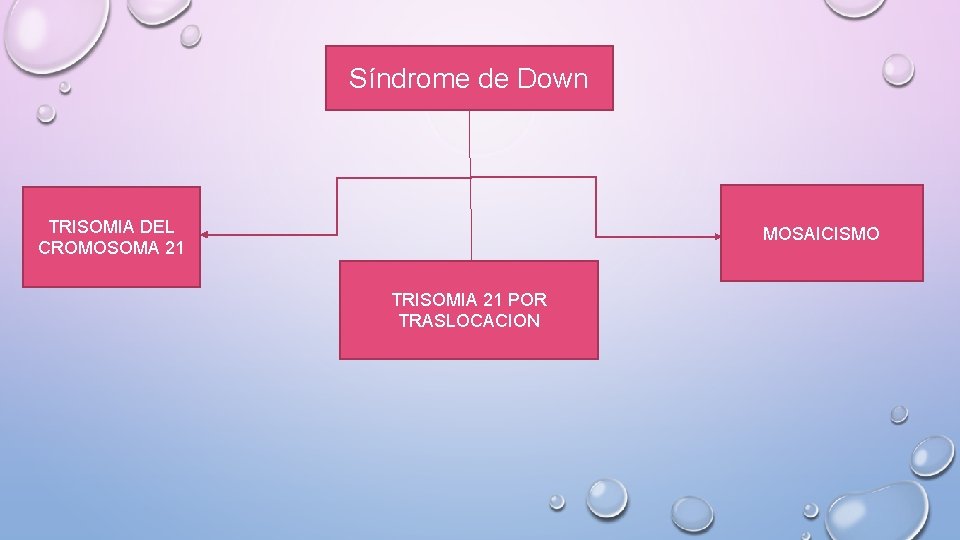 Síndrome de Down TRISOMIA DEL CROMOSOMA 21 MOSAICISMO TRISOMIA 21 POR TRASLOCACION 