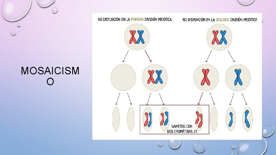 MOSAICISM O 
