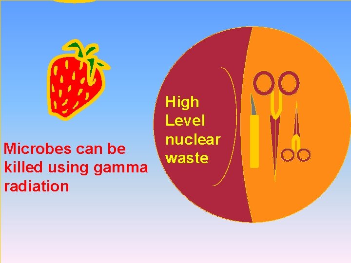 Microbes can be killed using gamma radiation High Level nuclear waste 
