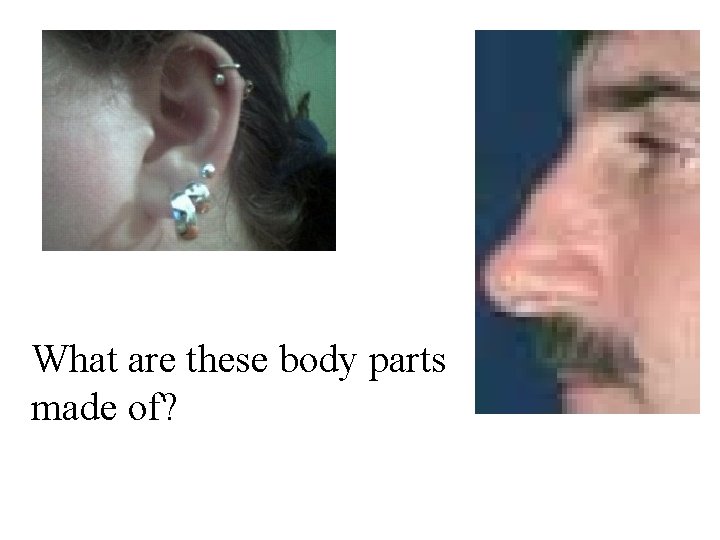 What are these body parts made of? What are these body parts made of?